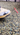 Video poster: Anne Frank Stichting TikTok video Promo 01